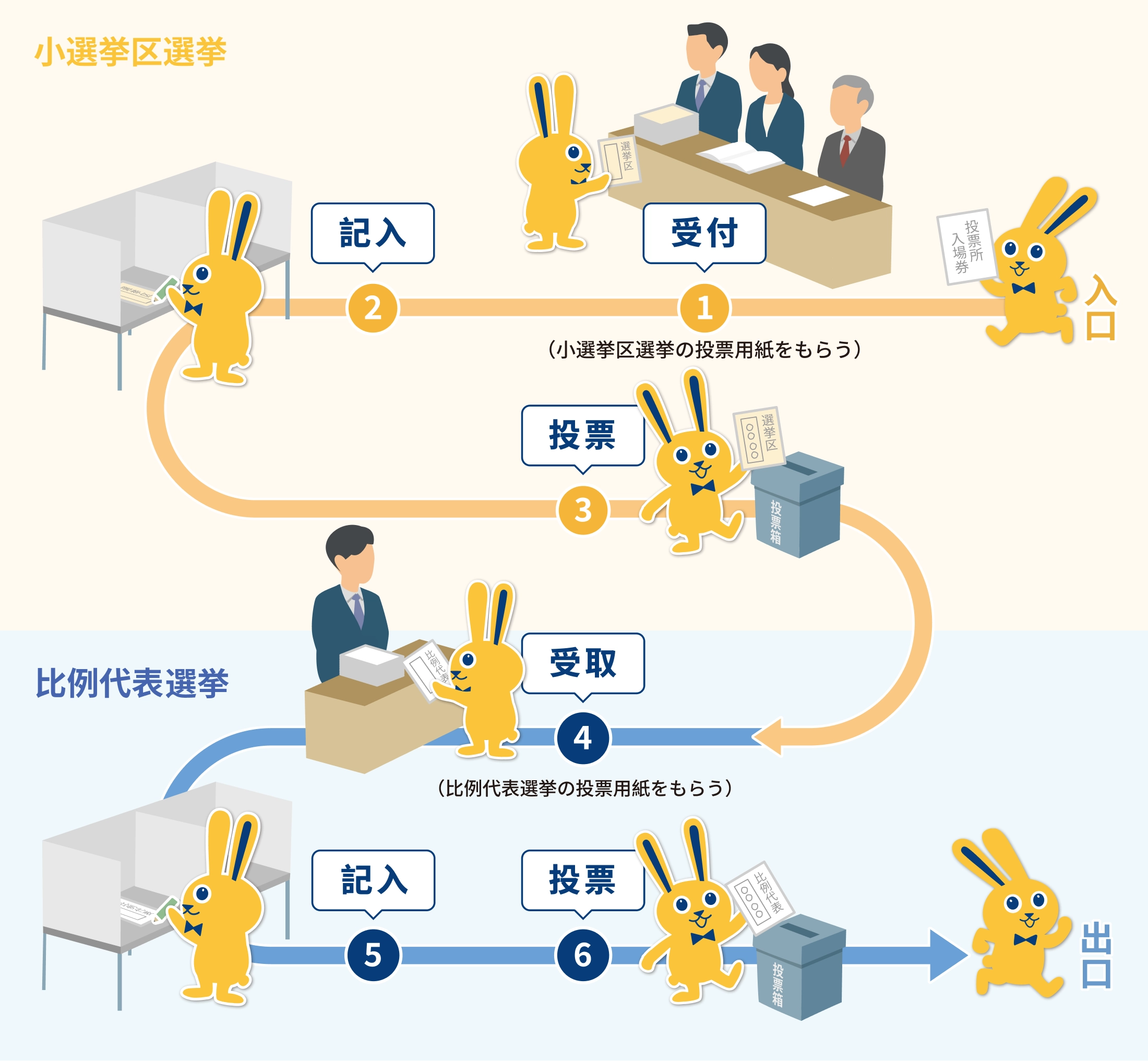 投票の流れの図｜小選挙区選挙の投票用紙をもらう→記入→投票→比例代表選挙の投票用紙をもらう→記入→投票